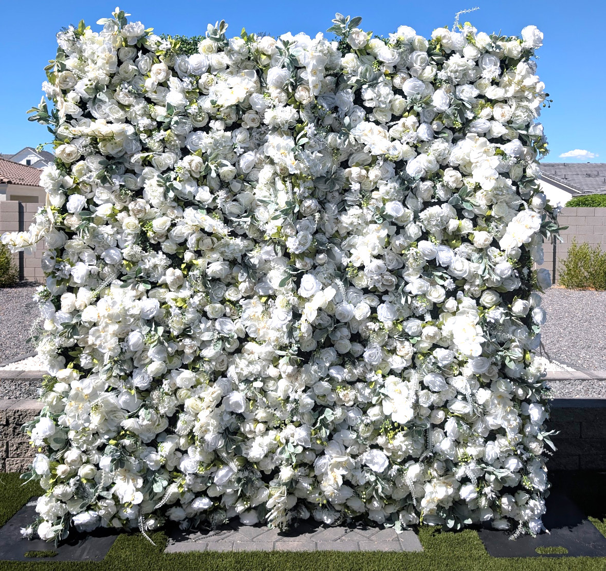 Backdrop Rental